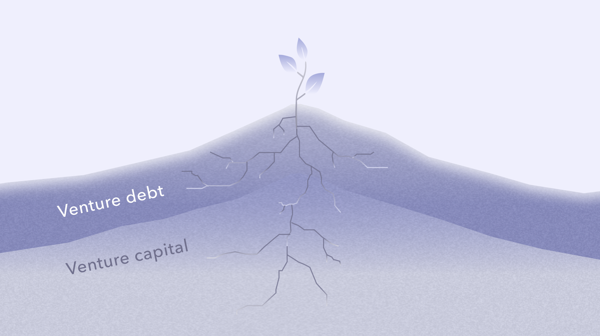 Illustration depicting venture debt and venture capital like plant roots
