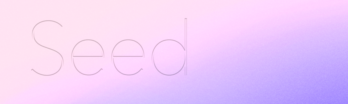 The word Seed written on a purple and pink gradient block.