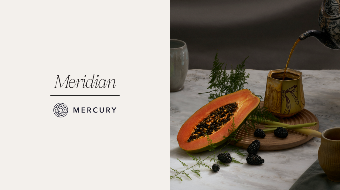 Announcing Meridian, our new magazine